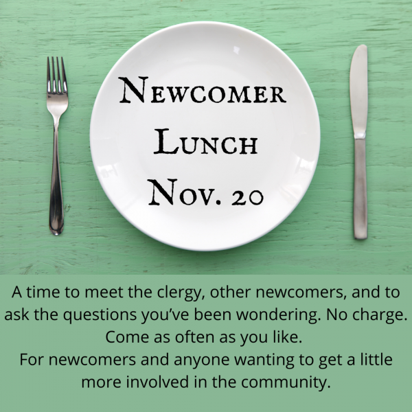 Newcomer Lunch Nov. 20